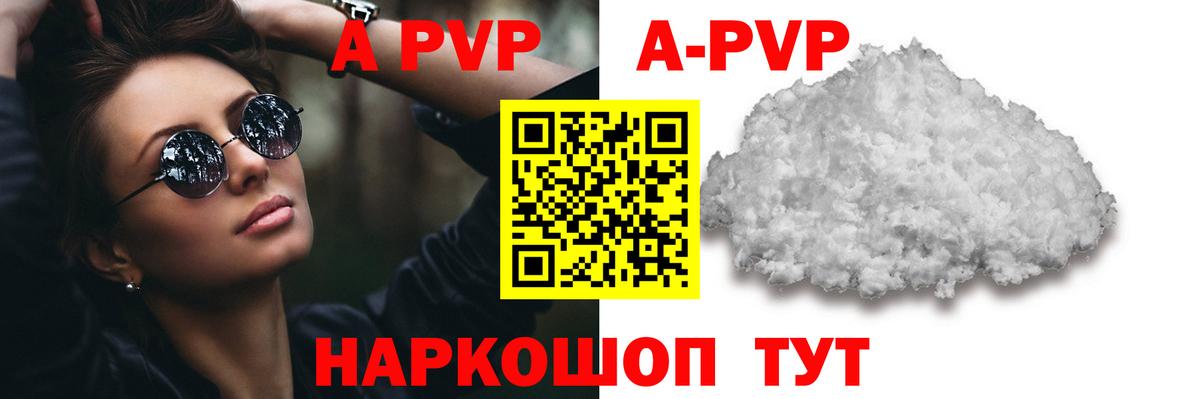 Alfa_PVP СК Майкоп